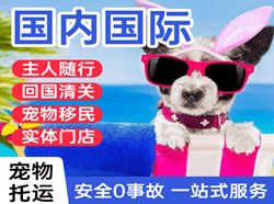满洲里航空快运国际宠物托运 【国